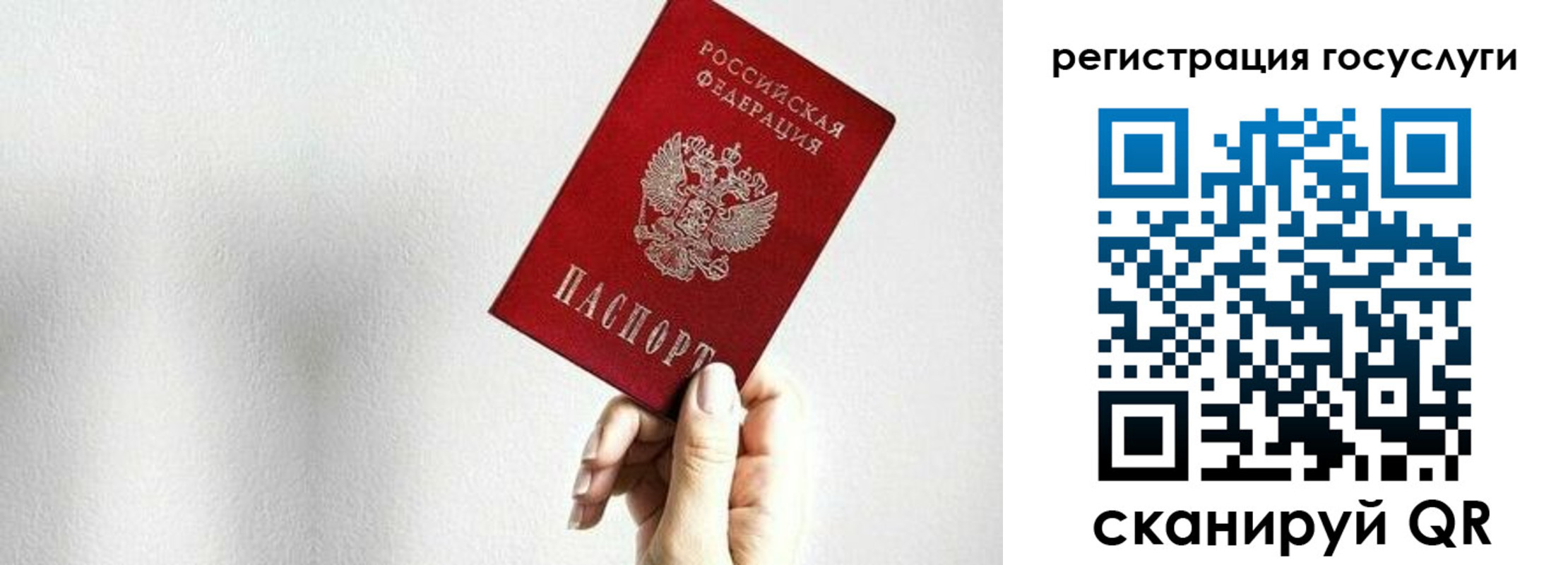 прописка гарантия в Апатитах